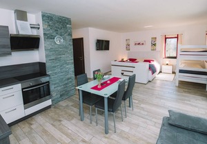 1 bedroom accommodation in Bled