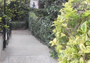 1 bedroom apartment Samra C5