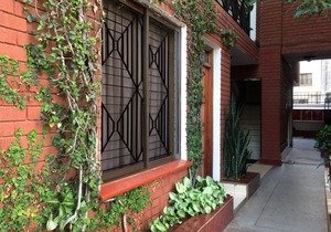 1 bedroom apartment Samra M