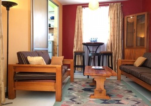 1 bedroom apartment Samra X