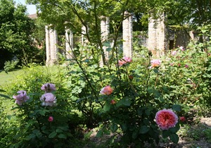 1-Lovely stone home with garden, in a castle near beach and 1 hour from Venice