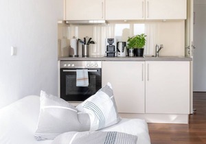 1-room apartment, 19 m², balcony, high-quality furnishings