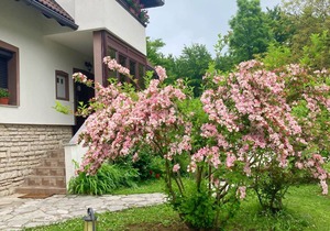 12 m² Private room ∙ 1 bedroom ∙ 2 guests