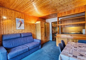 150m from ski slopes, 1st floor, balcony, tv, ski locker, 25m², Flaine