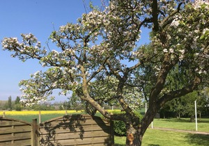 1742 - House Moinsen