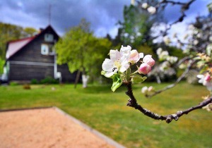 180 m² Cottage ∙ 8 bedrooms ∙ 25 guests