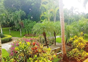 1BD guest-friendly condo near everything, with pool, wifi, cable TV