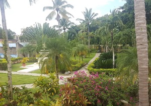 1BD guest-friendly condo near everything, with pool, wifi, cable TV