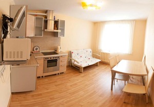 1k Apartment on Permyakova 72