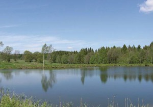 2 bedroom accommodation in Dalstorp