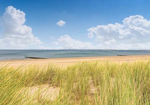 2 bedroom accommodation in IJzendijke
