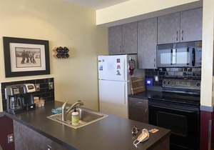 2 BEDROOM PLATINUM CORNER SLOPSIDE UNIT