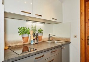 2-room apartment Adlerhorst, 50 sqm, with large south-facing balcony