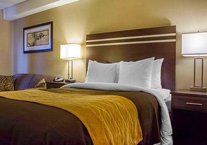 2-Star Hotel ∙ Comfort Inn