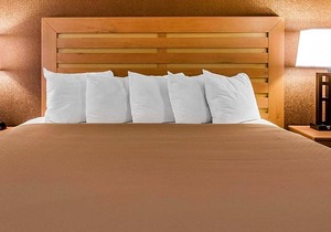 2-Star Hotel ∙ Quality Inn & Suites Warren - Detroit