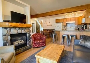 2 Story Townhouse/Main Floor Deck/Loft