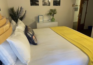 203 - Executive Rm -1 King Bed 2nd Floor