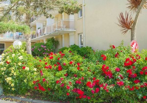 24 m² Apartment ∙ 1 bedroom ∙ 3 guests