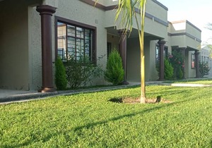 25 m² Private room ∙ 1 bedroom ∙ 2 guests