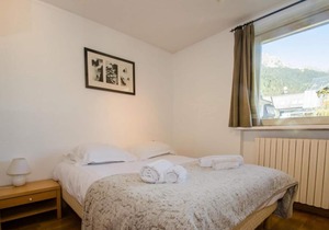 260m from ski slopes, 2nd floor, terrace, parking, tv, 55m², Chamonix