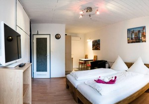 27 m² Apartment ∙ 1 bedroom ∙ 2 guests