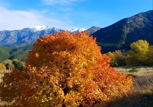 30 m² Chalet ∙ 2 bedrooms ∙ 6 guests
