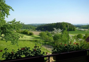 35 m² Apartment ∙ 1 bedroom ∙ 2 guests