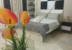 3N Palm Tree Villas