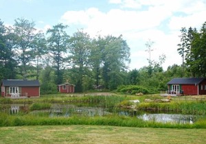 4 person holiday home in SMEDSTORP