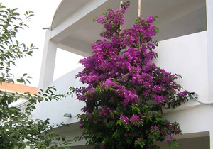 40 m² Apartment ∙ 2 bedrooms ∙ 4 guests