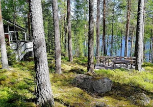 40 m² Cabin ∙ 2 bedrooms ∙ 4 guests