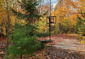 4BED/2BATH/Jacuzzi Family Lakeside Cottage