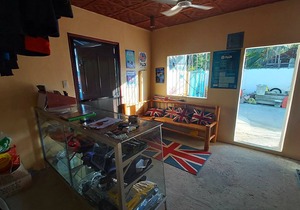 6-Bed Mixed Dormitory Room