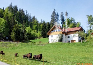 60 m² Apartment ∙ 1 bedroom ∙ 4 guests