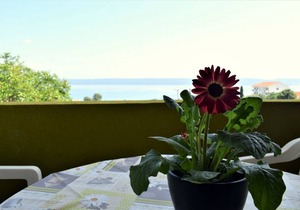 70 m² Apartment ∙ 2 bedrooms ∙ 4 guests