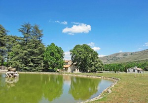 75 m² Villa ∙ 2 bedrooms ∙ 6 guests