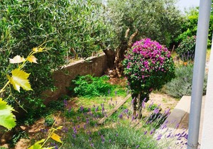 90 m² Apartment ∙ 2 bedrooms ∙ 4 guests