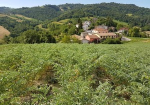 Agriturismo di Sordiglio