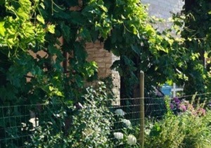Agriturismo "Le Cannelle" spa & day wellness