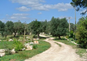 AGRITURISMO VILLA COLUCCIA Manor house from 1940