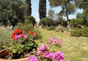 AGRITURISMO VILLA COLUCCIA Manor house from 1940