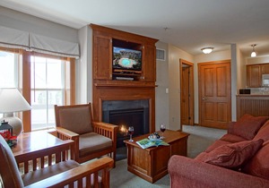 Allegheny Springs 201 : 2 Bedroom, 2 Full Bath: Slope Side; Gas Fireplace