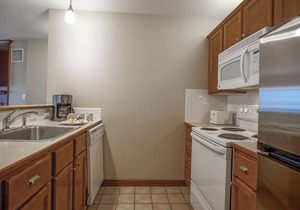 Allegheny Springs 201 : 2 Bedroom, 2 Full Bath: Slope Side; Gas Fireplace