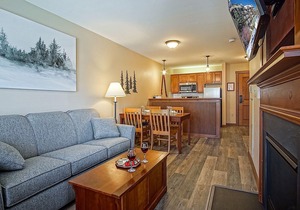 Allegheny Springs 305: 1 Bedroom, 1 Full Bath, Slope Side, Gas Fireplace