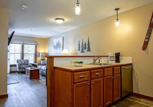 Allegheny Springs 305: 1 Bedroom, 1 Full Bath, Slope Side, Gas Fireplace