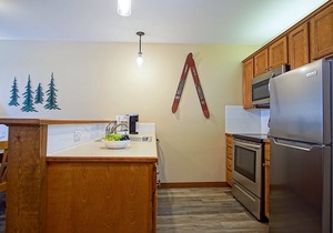 Allegheny Springs 305: 1 Bedroom, 1 Full Bath, Slope Side, Gas Fireplace