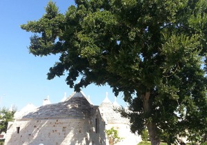 Almapetra Trulli Resort