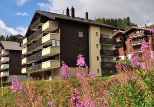 Alpenglück 43