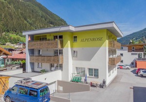 Alpenrose 175.3
