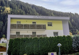 Alpenrose 175.3